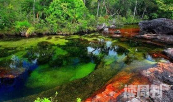 彩虹河哥伦比亚美景河流一年仅出现一次(3)