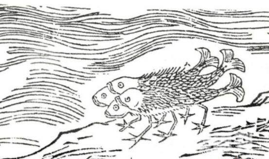 何罗鱼神话传说中一种神兽-疑似乌贼(4)