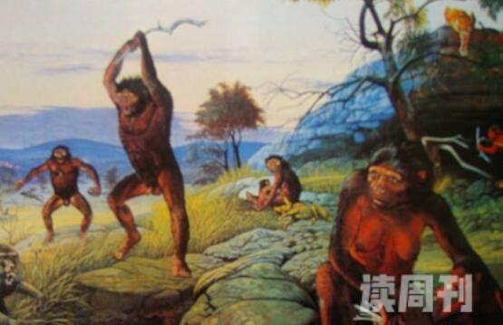 人类的起源从6500万远古猿人进化而来