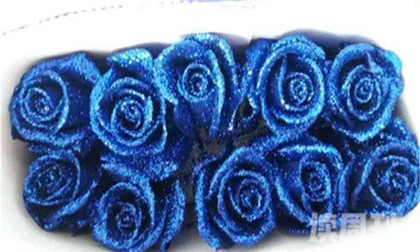 蓝色妖姬玫瑰花微波炉自制干花的方法（之前要加点高锰酸钾进行消毒）(1)