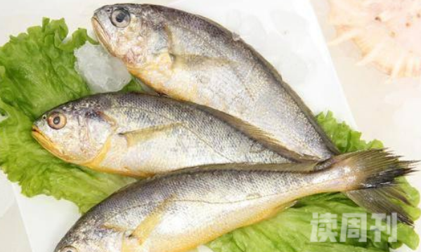 非常适合小孩子吃的鱼（银鱼富含大量的蛋白、钙质）(3)