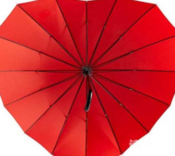 奇形怪状的雨伞你都见过吗15把极其独特的雨伞(13)