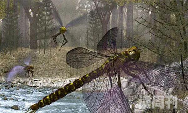 史前巨虫到底有多可怕（石炭纪时期的巨型昆虫）(2)