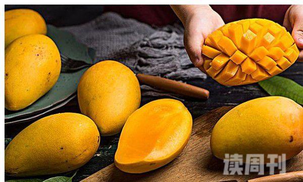 越南绿芒果正确吃法（越南青芒果成熟在几月份）(3)