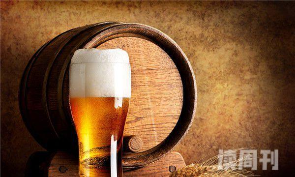 啤酒度数是看酒精度还是麦汁浓度（啤酒的原麦汁浓度为多少口味最佳）(3)