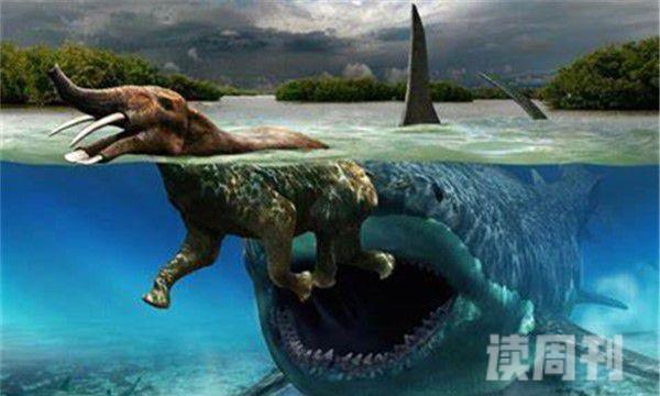 史前生物离开海洋向陆地进化（现代生物和史前生物对比）(2)