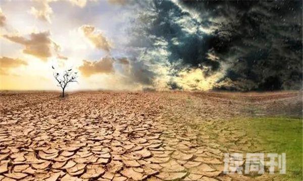 干旱的危害：农作物减产（草场退化）(2)