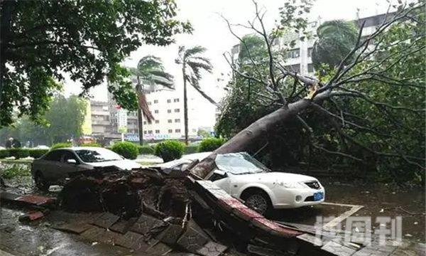 台风是哪个地区最严重的自然灾害之一：我国南部沿海地区(2)