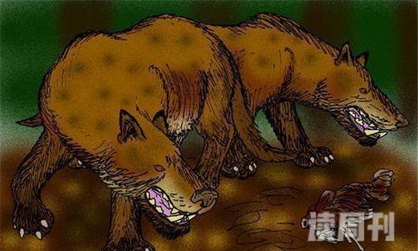 狮鬣兽生活于2300万年前-灭绝的史前巨兽