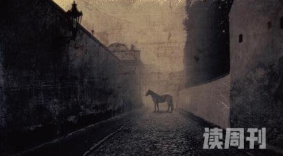 扬州螺丝结顶和无灯巷图片（扬州有一个很诡异的巷子）(3)