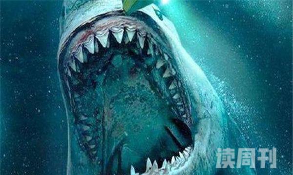巨齿鲨vs大王乌贼巨齿鲨更强-实力相差无几(2)