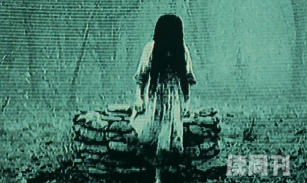 世界上最可怕的十大恐怖鬼片（心情沉甸甸的时候突然出现恐怖的画面）(5)