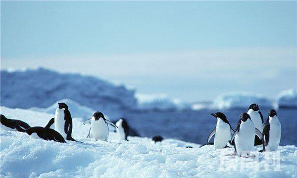 自然界最低温度（南极其最低温度属于二百七十二度）(2)