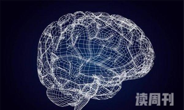 人大脑的极限（计算机的运行速度还是比人脑慢几千倍）(2)