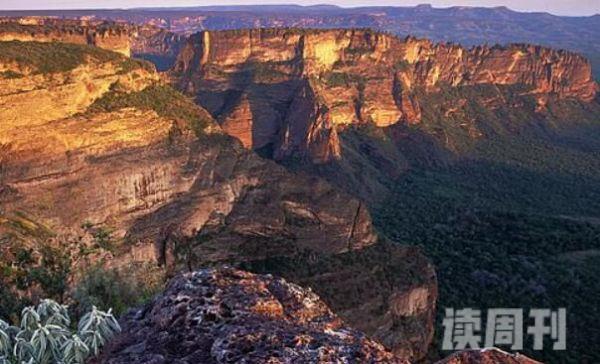 巴西高原是不是世界上最高的高原（巴西高原世界之最）(4)