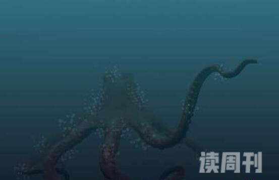 世界上最大的章鱼（腕足展开后直径达15.6米）(4)