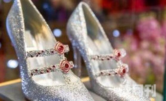 世界上最值钱的鞋子（鞋子上面镶嵌有数百颗钻石）(2)
