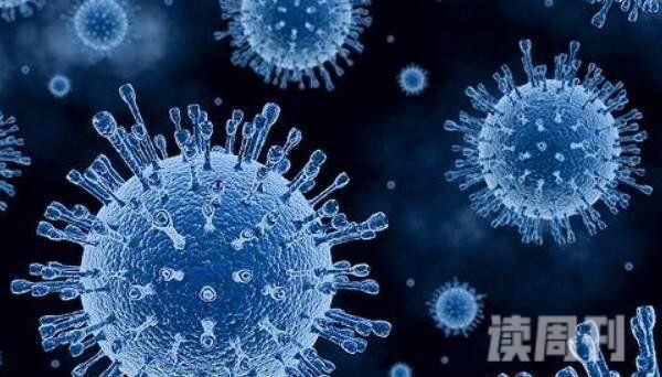 世界上最可怕的5种病毒（天花病毒痊愈后脸上会留有麻子）(1)