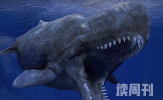 远古已灭绝的最强十大动物（巨齿鲨是远古一种凶猛无比的鲨鱼）