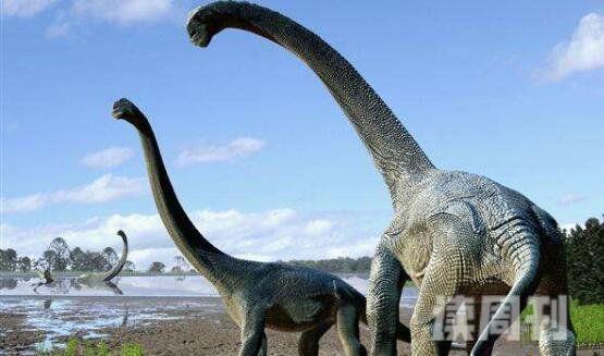 十大体型最大恐龙（阿根廷龙体长为40米常用高大身躯来吓退掠食者）(2)