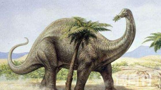 十大体型最大恐龙（阿根廷龙体长为40米常用高大身躯来吓退掠食者）(3)