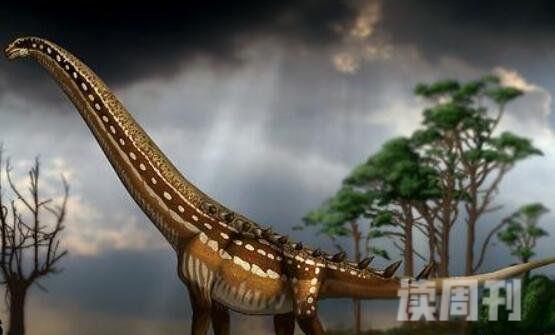 十大体型最大恐龙（阿根廷龙体长为40米常用高大身躯来吓退掠食者）(4)