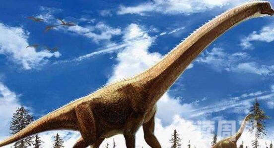 十大体型最大恐龙（阿根廷龙体长为40米常用高大身躯来吓退掠食者）(5)