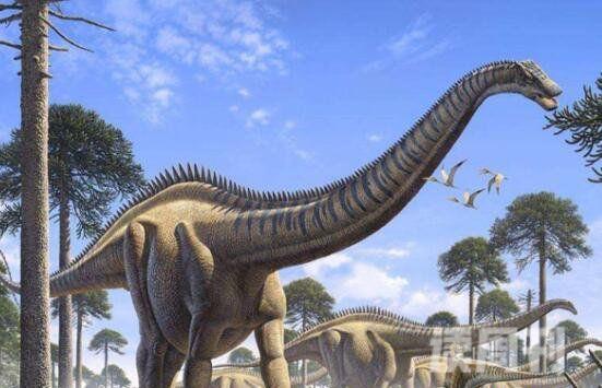 十大体型最大恐龙（阿根廷龙体长为40米常用高大身躯来吓退掠食者）(6)