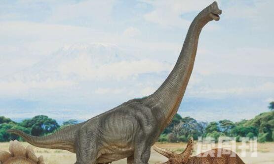 十大体型最大恐龙（阿根廷龙体长为40米常用高大身躯来吓退掠食者）(7)
