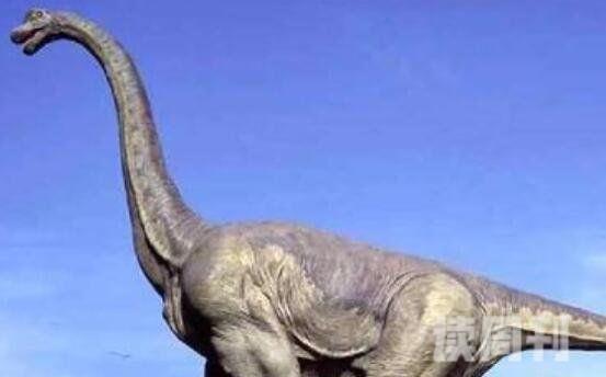 十大体型最大恐龙（阿根廷龙体长为40米常用高大身躯来吓退掠食者）(8)