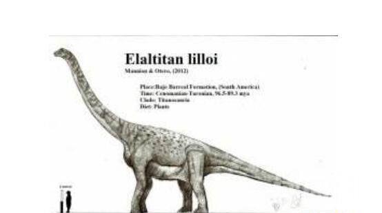 十大体型最大恐龙（阿根廷龙体长为40米常用高大身躯来吓退掠食者）(9)