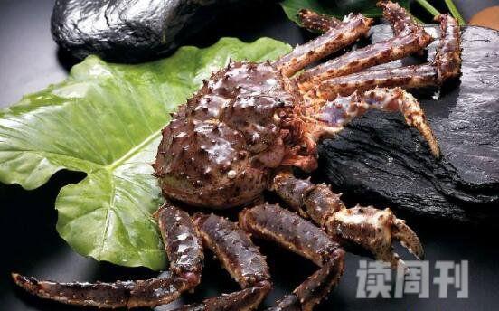 世界上最贵的螃蟹（虽肉质不多但是口味极好）(3)