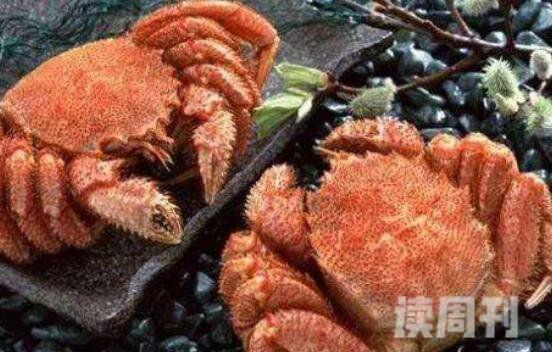 世界上最贵的螃蟹（虽肉质不多但是口味极好）(4)