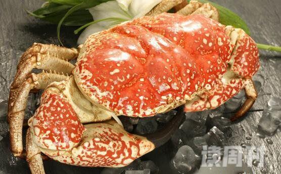 世界上最贵的螃蟹（虽肉质不多但是口味极好）(5)