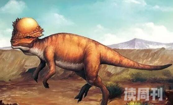 世界上最后的10只恐龙（鹦鹉嘴龙生活在距今约1亿2320万年前到1亿1000万年前）(6)