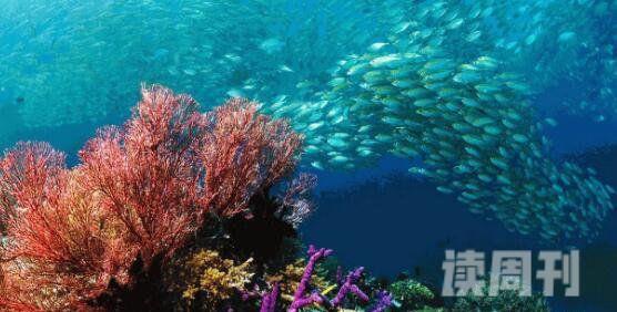世界自然地理之最100条（最深的海洋是马里亚纳海沟）(2)
