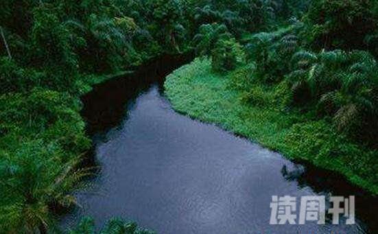 世界上最深的河（刚果河平均深度达到200米）(1)