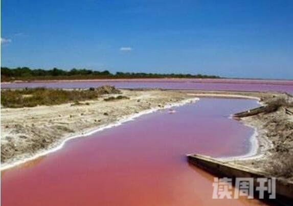 全球十大恐怖湖(颜色深得像是人血一般的颜色)(1)