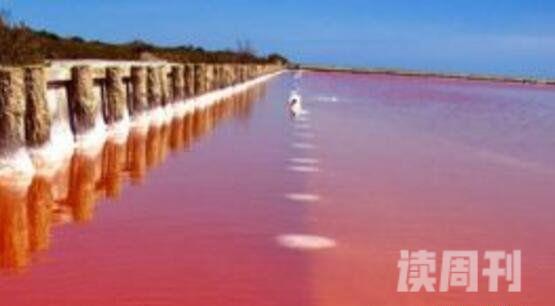 全球十大恐怖湖(颜色深得像是人血一般的颜色)(2)