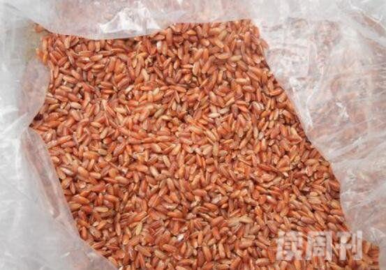 世界上最贵的米（特级胭脂米可以卖到4000元一斤）(2)