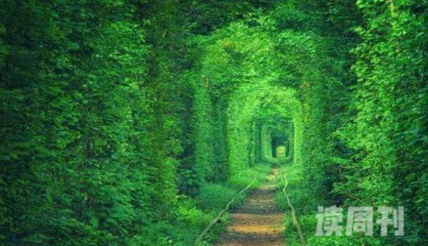 全世界最漂亮的隧道（乌克兰最美的爱情隧道）
