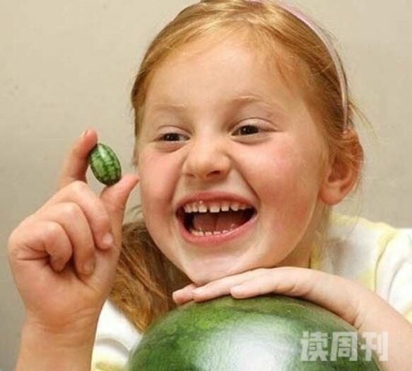 世界上最小西瓜图片（佩普基诺的体长仅仅只有3厘米左右）