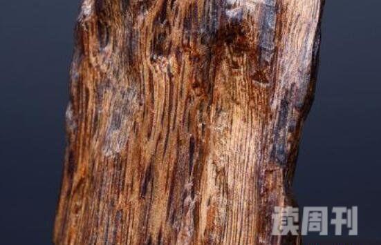 世界上最贵的木头金丝楠木价格可高达几千万人民币(2)