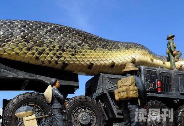 世界上最凶猛的蛇红海巨蛇杀320游客125潜水员(杜撰)(3)