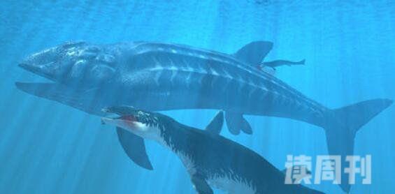 史前最大的动物第一名新西兰大鱼龙(体长38米重311吨)(3)