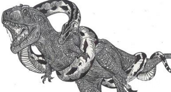 世界第一巨蛇超级巨蟒沃那比蛇能吞噬霸王龙(图片)(4)