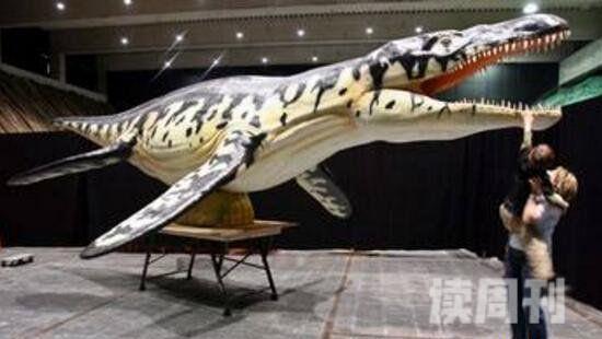盘点史前十大恐怖海怪巨齿鲨堪称地球史上最强悍的生物(3)
