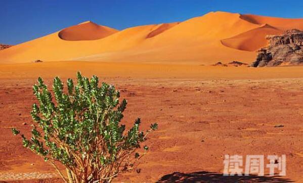 世界上最大的沙漠-位于非洲北部的撒哈拉沙漠-气候条件恶劣(2)