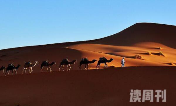 世界上最大的沙漠-位于非洲北部的撒哈拉沙漠-气候条件恶劣(3)