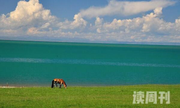 中国最大的咸水湖-青海省青海湖是最大咸水湖-七八月份最美(2)